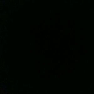 Meet your Posher, Benjamin